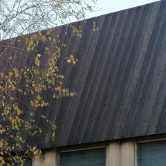 Un muro inclinato di legno bruciato giapponese, con rami autunnali e foglie gialle che si stagliano contro il cielo.