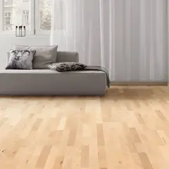 Pavimento in **legno d'acero** chiaro, con divano grigio, libreria e finestre.