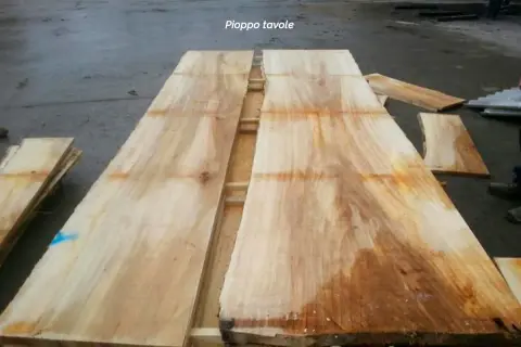 Tavole di legno di pioppo grezzo, pronte per essere trasformate in mobili unici.