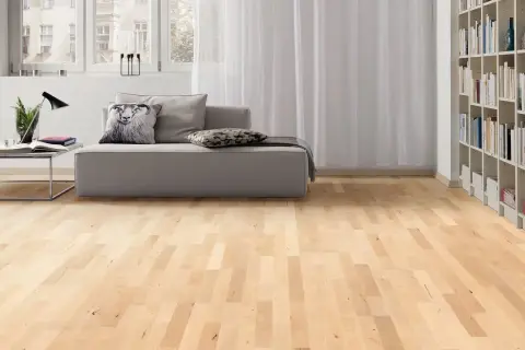 Pavimento in **legno d'acero** chiaro, con divano grigio, libreria e finestre.