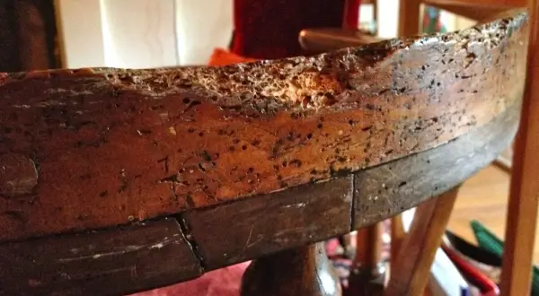 Bordo di un vecchio mobile in legno, danneggiato da tarli. Necessita di disinfettare mobili vecchi per preservarlo.