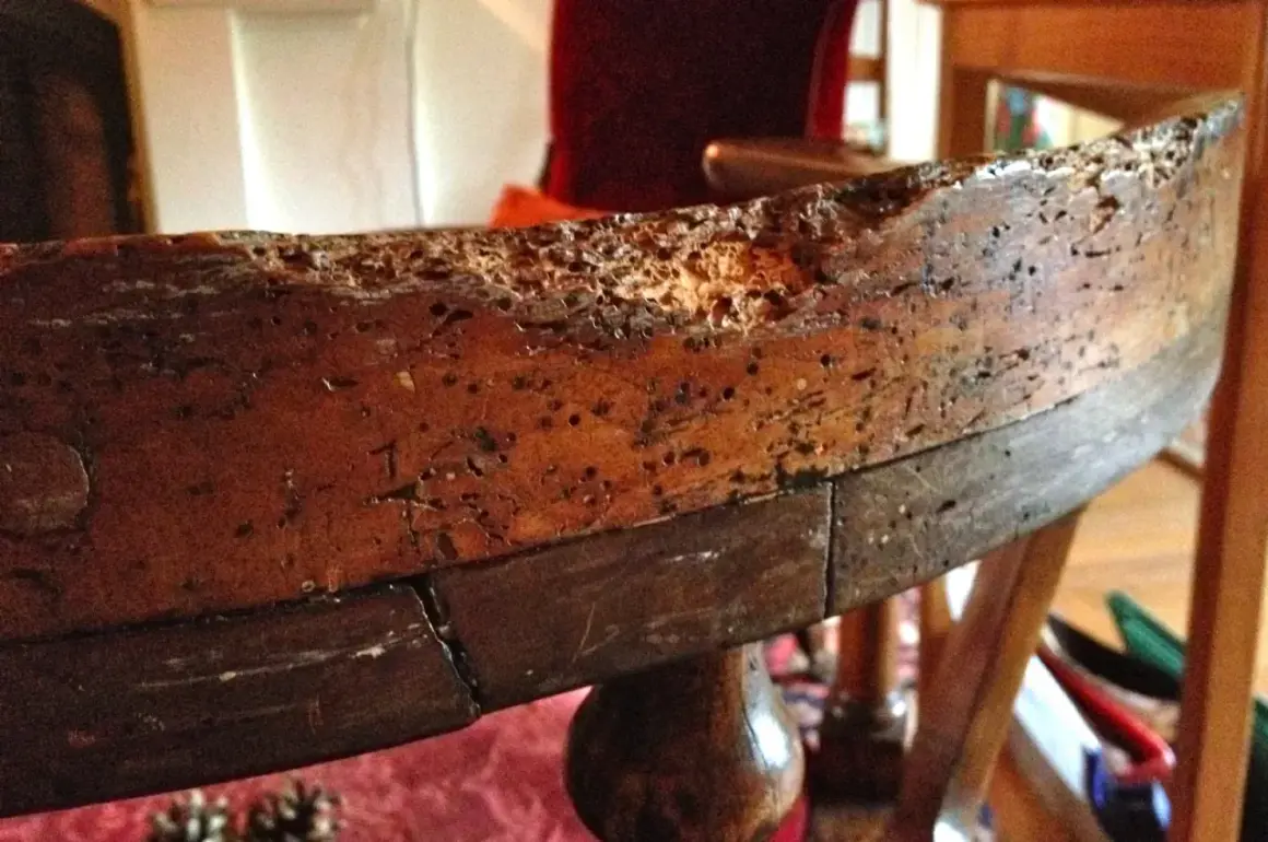 Bordo di un vecchio mobile in legno, danneggiato da tarli. Necessita di disinfettare mobili vecchi per preservarlo.