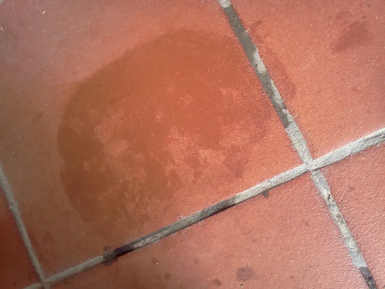 Macchia scura su piastrelle di cotto, forse dovuta a olio di lino per cotto.