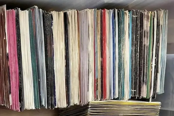 Una collezione di dischi in vinile che valgono una fortuna, con copertine colorate e bianche, impilati in modo ordinato.