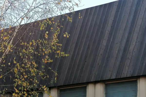 Un muro inclinato di legno bruciato giapponese, con rami autunnali e foglie gialle che si stagliano contro il cielo.