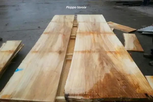 Tavole di legno di pioppo grezzo, pronte per essere trasformate in mobili unici.